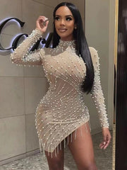 All Luxury Mesh Studded Mini Dress