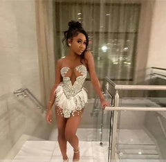 Brenda Mesh Feathers Dress
