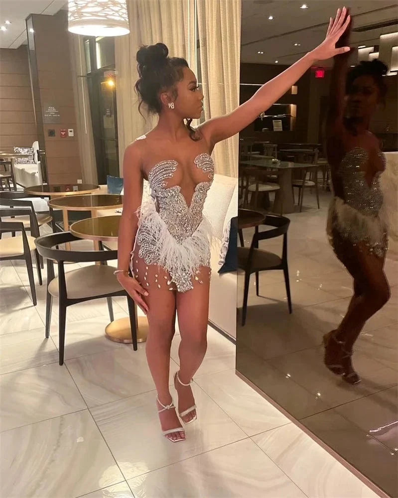 Brenda Mesh Feathers Dress