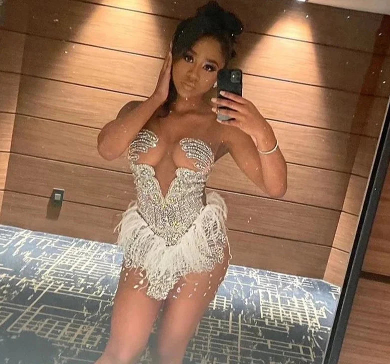 Brenda Mesh Feathers Dress
