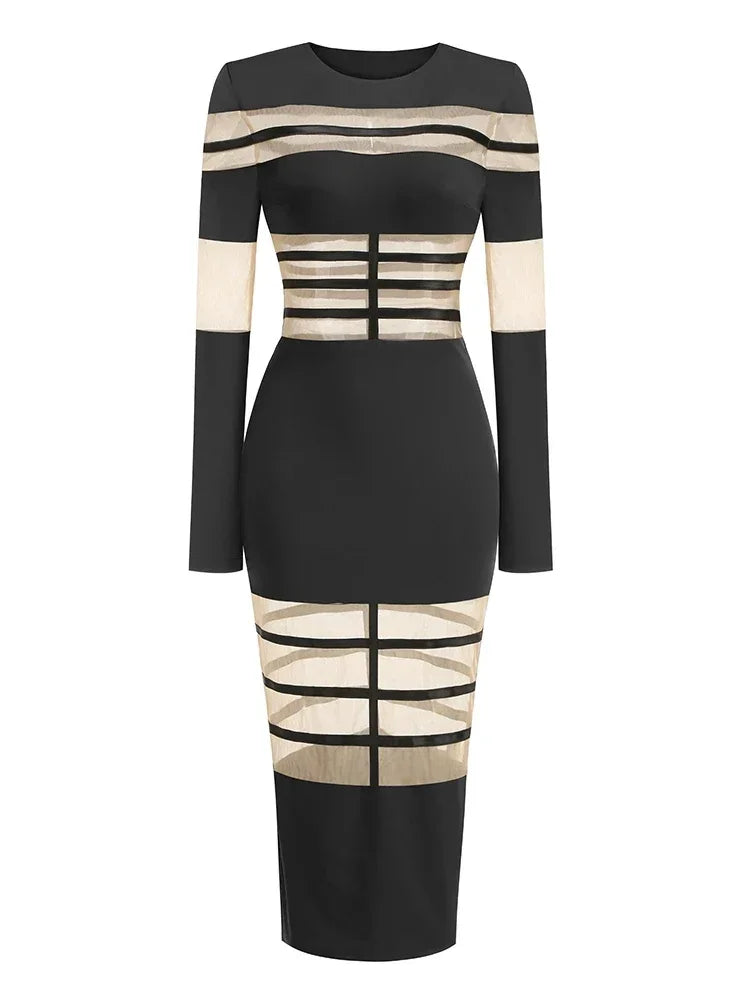Daisy Mesh Bodycon Dress